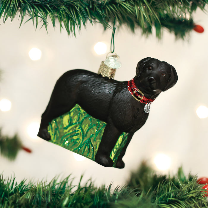 A Christmas tree ornament shaped like a black dog with a red collar, standing on a green base, hangs from a branch with blurred lights in the background.
