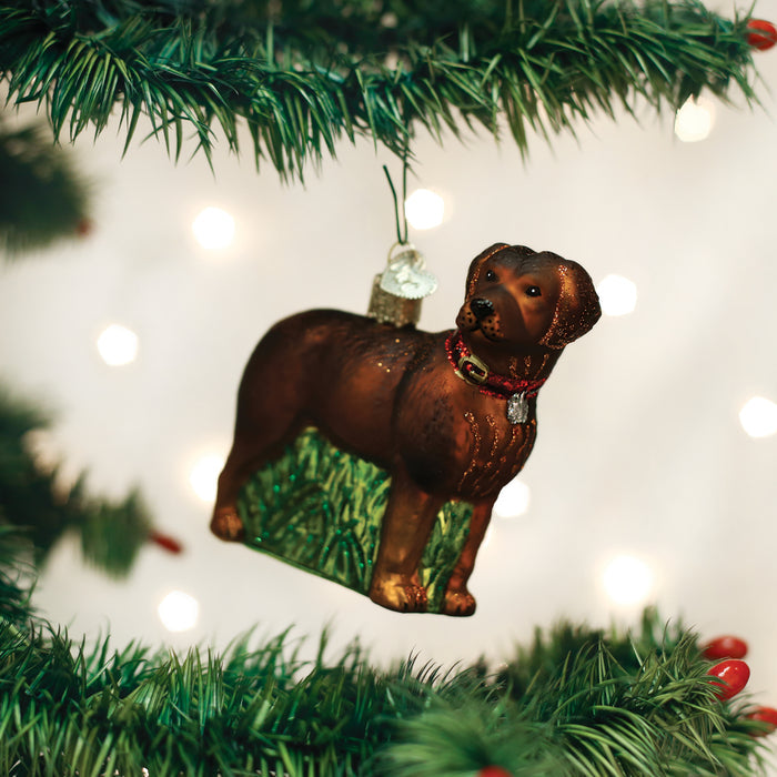A Christmas tree branch decorated with an ornament shaped like a brown dog wearing a red collar, with white holiday lights glowing softly in the blurred background.