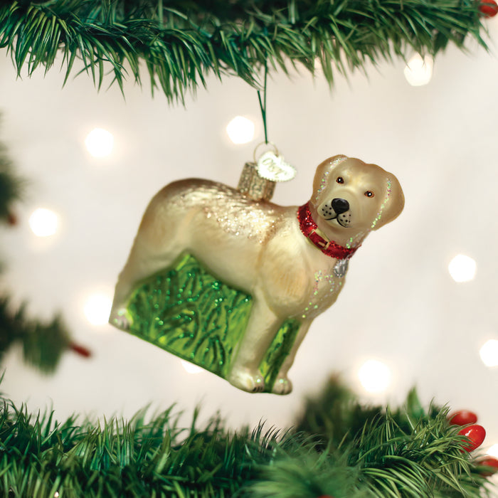 A glass Christmas tree ornament shaped like a golden dog with a red collar and a green rectangular base hangs from a green tree branch, with blurred white lights in the background.