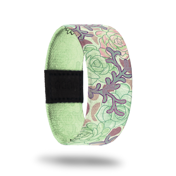 Succulent-Sold Out-ZOX - This item is sold out and will not be restocked.