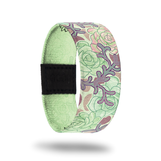 Succulent-Sold Out-ZOX - This item is sold out and will not be restocked.