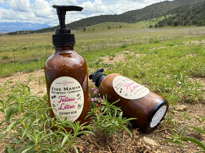 Summer Tallow Lotion : Coconut Rose *limited edition!