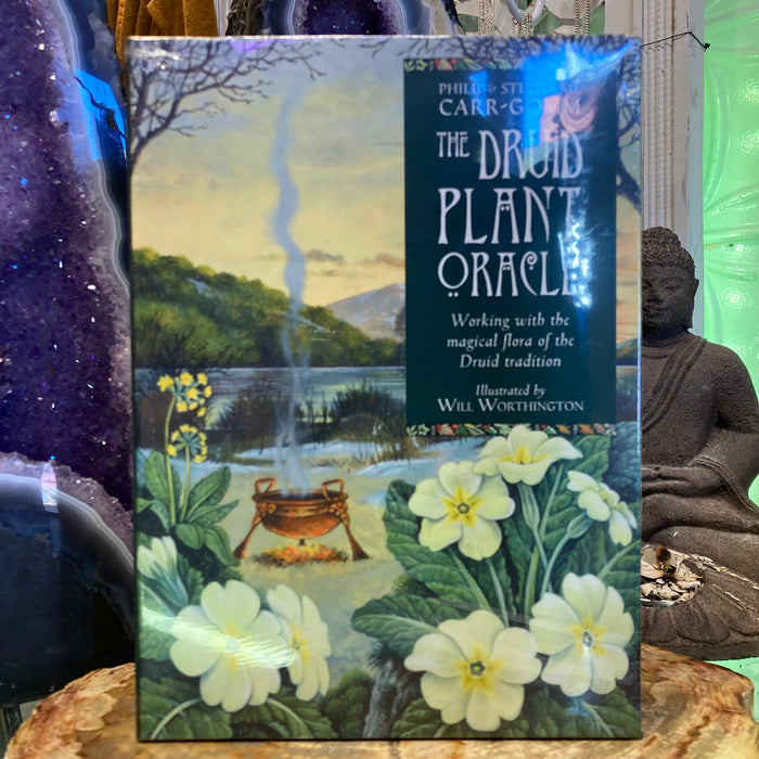 The Druid Plant Oracle by Philip & Stephanie Carr-Gomm