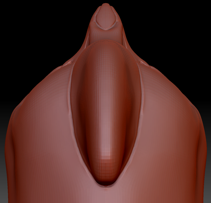 True Kemono Cassowary Head Base
