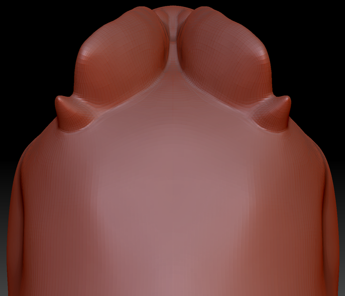 True Kemono Dilophosaurus Head Base Complex Variant 1