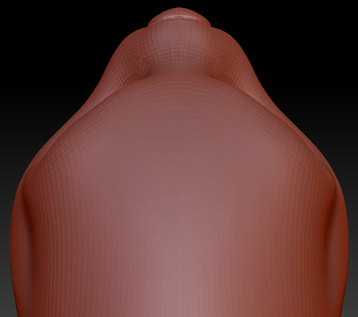 Western Kemono Asian Small-clawed Otter Head Base