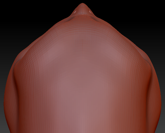 Western Kemono Barn Owl Head Base Variant 1