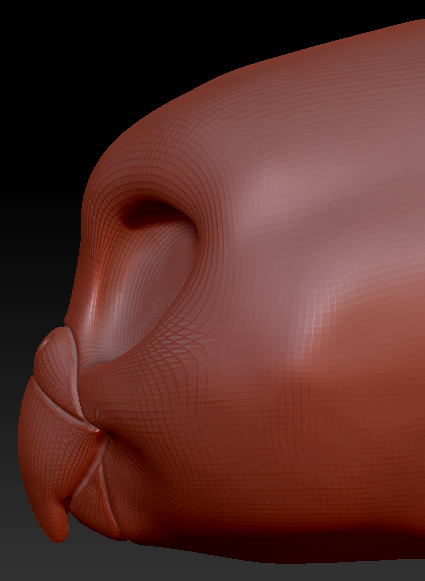 Western Kemono Budgie Head Base