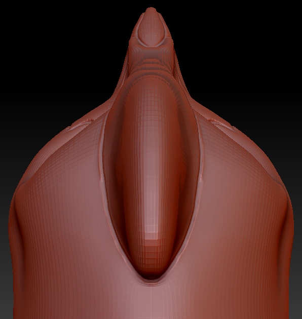 Western Kemono Cassowary Head Base