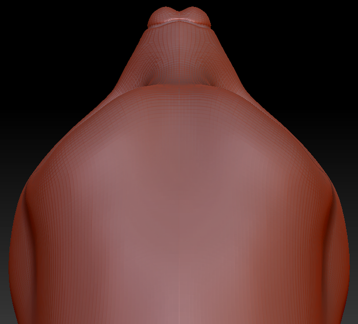 Western Kemono Fruit Bat Static Jaw Head Base