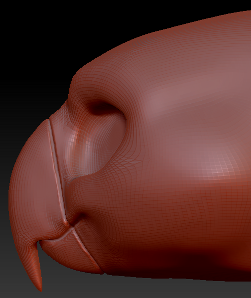Western Kemono Macaw Parrot Head Base