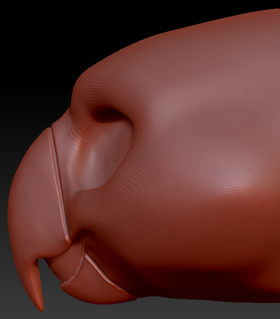 Western Kemono Macaw Parrot Static Jaw Head Base