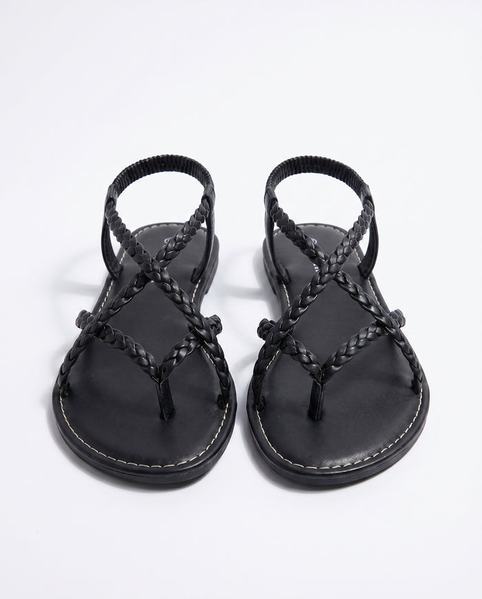 Black / 36